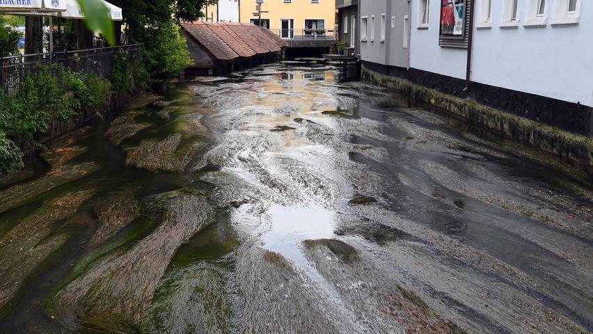 Auch bei den Fischkästen gibt es nur noch wenige flüssiges Nass.