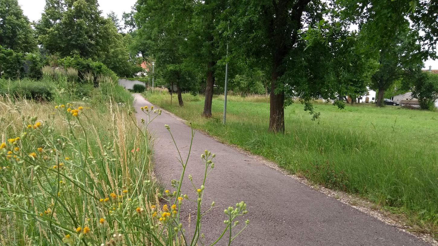Die Leitungen im Kirchenweg von der Sulzkirchener Straße vorbei am Friedhof bis kurz vor der Ohausener Straße werden im Hinblick auf das neue Baugebiet „Am Kirchenweg“ erneuert Die Leitungen im Kirchenweg von der Sulzkirchener Straße vorbei am Friedhof bis kurz vor der Ohausener Straße werden im Hinblick auf das neue Baugebiet „Am Kirchenweg“ erneuert