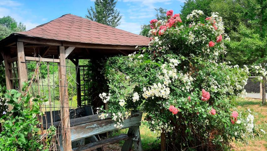 Der Zier- und Nutzgarten des Obst- und Gartenbauvereins Leutenbach ist sehr naturbelassen. Der Zier- und Nutzgarten des Obst- und Gartenbauvereins Leutenbach ist sehr naturbelassen.