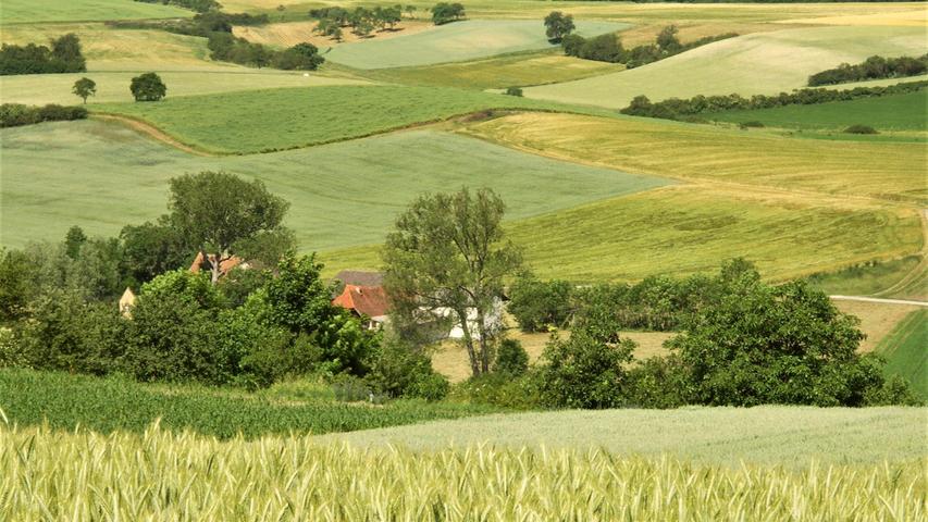 Wunderbar eingebettet in die sommerlichen Getreidefelder ist die Modelsmühle im Landkreis Neustadt/Aisch-Bad Windsheim. 
