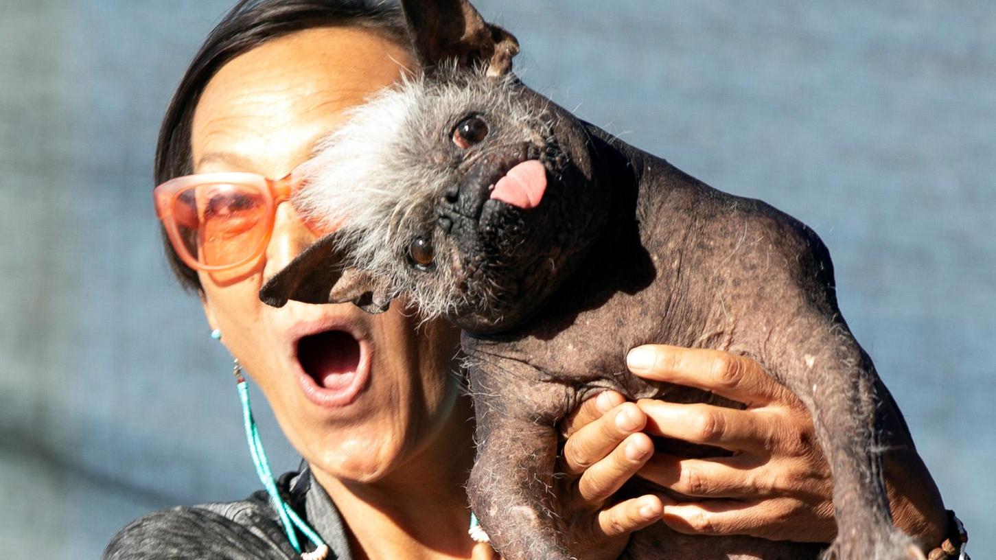 "Mr. Happy Face" wurde zum hässlichsten Hund der Welt gekürt. Schönheit kommt bekanntlich von Innen.