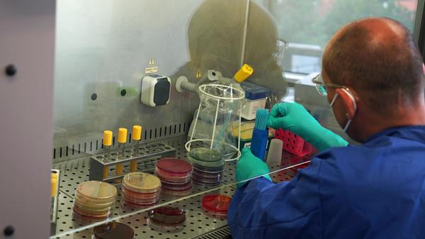 Überhaupt werden gefährliche Mikroorganismen nur in bestimmten Arealen des Labors freigesetzt. Das Herzstück dabei sind die Sicherheitswerkbänke, unter denen Erreger isoliert und bearbeitet werden. Ein ausgeklügeltes System, ein sogenannter laminarer Strom, reinigt angesaugte Frischluft, bevor sie mit den Arbeitsmaterialien in Berührung kommt. Was im Inneren ist, bleibt im Inneren. Reißt der Strom ab, ertönt ein Alarmsignal. Hinterher wird die Werkbank mit UV-Licht sterilisiert.