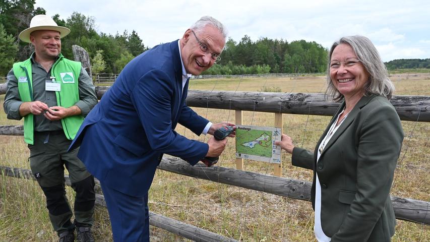 Jubelfeier mit Urwildpferden im Tennenloher Forst Jubelfeier mit Urwildpferden im Tennenloher Forst