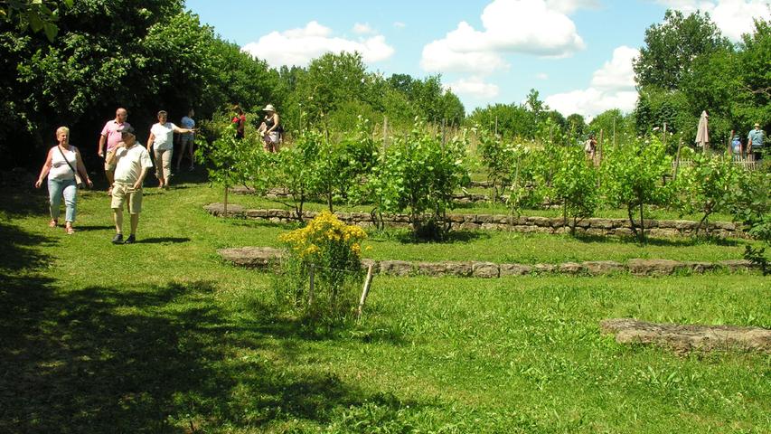 Heike Klischat und Ralf Loos haben ihre alte Hofstelle in Sausenhofen in einen insektenfreundlichen Garten mit Heil- und Gewürzpflanzen verwandelt.