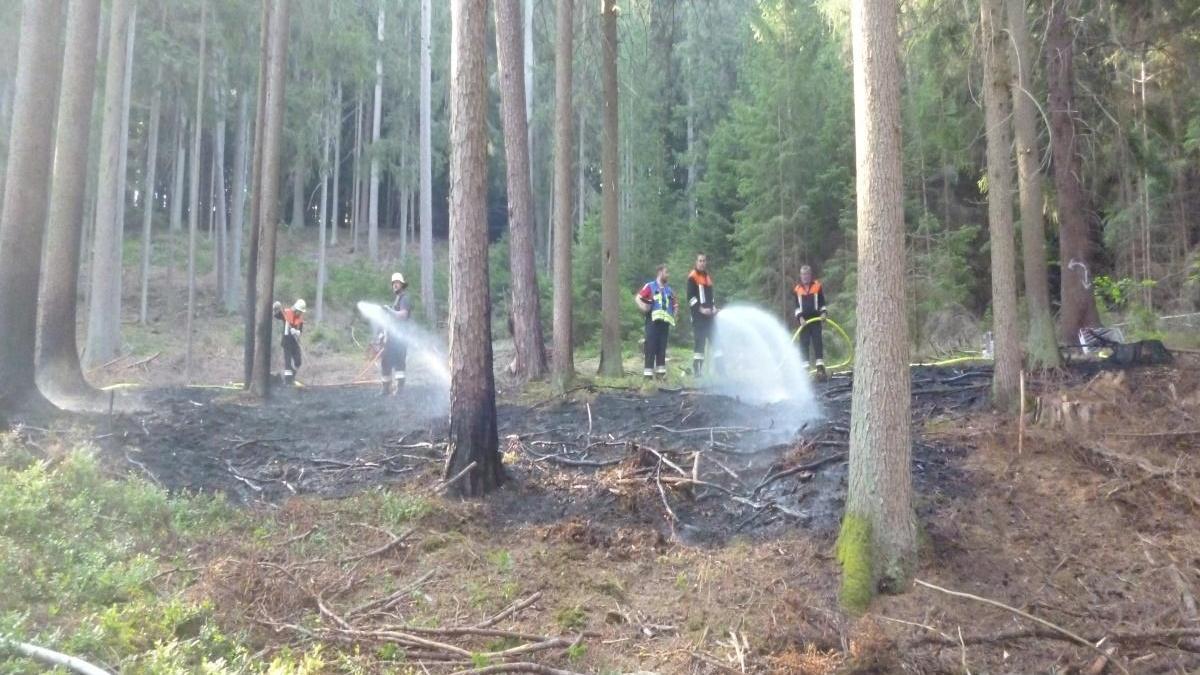 Rund 5000 Quadratmeter Wald in direkter Nähe von Schloss Sandsee sind am Montagmorgen in Brand geraten. Das Schnelle Eingreifen der Mischelbacher und der Pleinfelder Feuerwehr hat Schlimmeres verhindert.