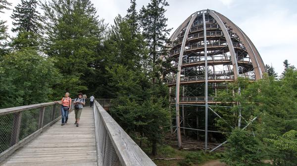 Der Eintritt in den Baumwipfelpfad im Nationalpark Bayerischer Wald kostet für Erwachsene 11 und für Kinder neun Euro. Das Familienticket 27 Euro. Der Preisanstieg ist moderat.