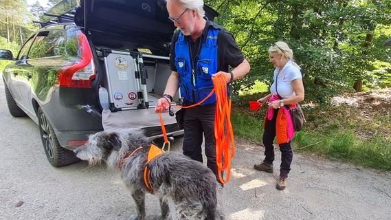 Cold Cases: Archäologiehund hilft fränkischer Polizei bei der Suche nach menschlichen Überresten