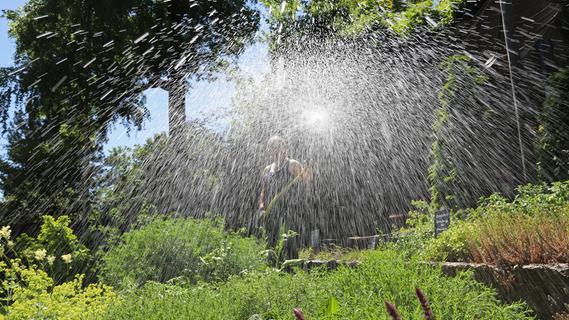 Trockene Sommertage: Was den Pflanzen neben Gießen noch hilft