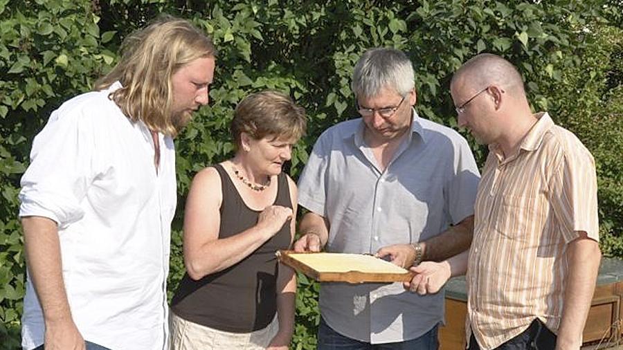 Monokultur bedroht Bienen Monokultur bedroht Bienen