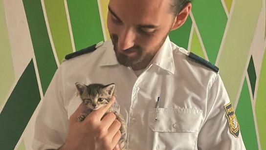 Ein tierischer Einsatz in Ansbach: Auf Twitter postete die Polizei ein Bild mit dem Kätzchen. 