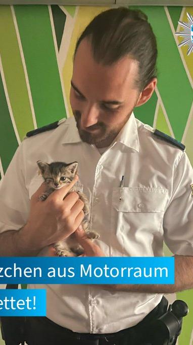Mit einem Miauen machte ein junges Katzenbaby in der Nacht zum Dienstag, 12. Juli, in Ansbach auf sich aufmerksam. Das völlig verängstigte Tier war im Motorraum gefangen. Da die Inhaberin des Wagens nicht zu erreichen war, wurde das Katzenbaby von der Polizei gerettet und in ein Tierheim gebracht.