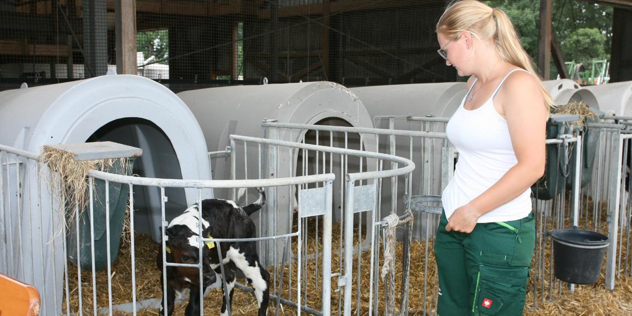 So läuft die Prüfung zum Landwirt: Hätten Sie's gewusst? | nn.de So läuft die Prüfung zum Landwirt: Hätten Sie's gewusst? | nn.de