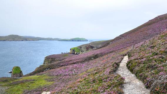 4 Gründe für einen Besuch auf den Shetlandinseln