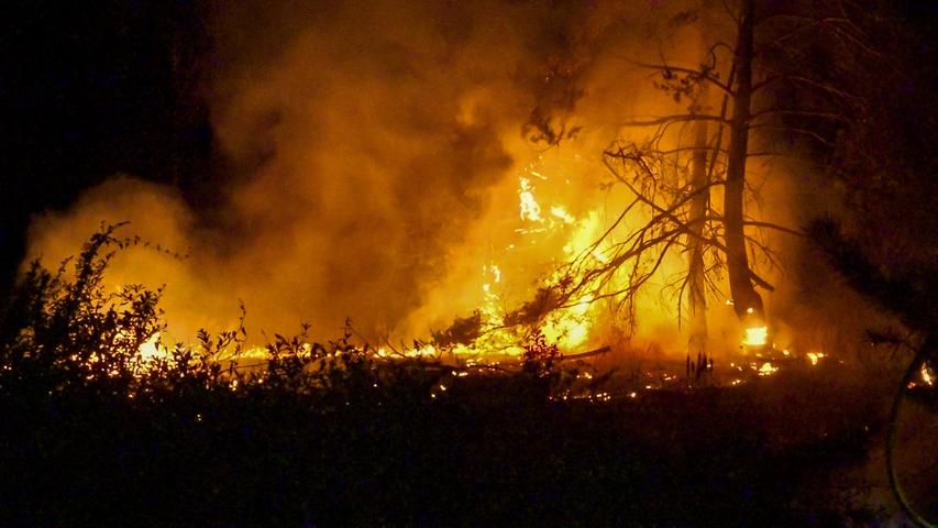 Auf circa 5.000 Quadratmetern brannten Bäume und Sträucher am Waldrand lichterloh.
