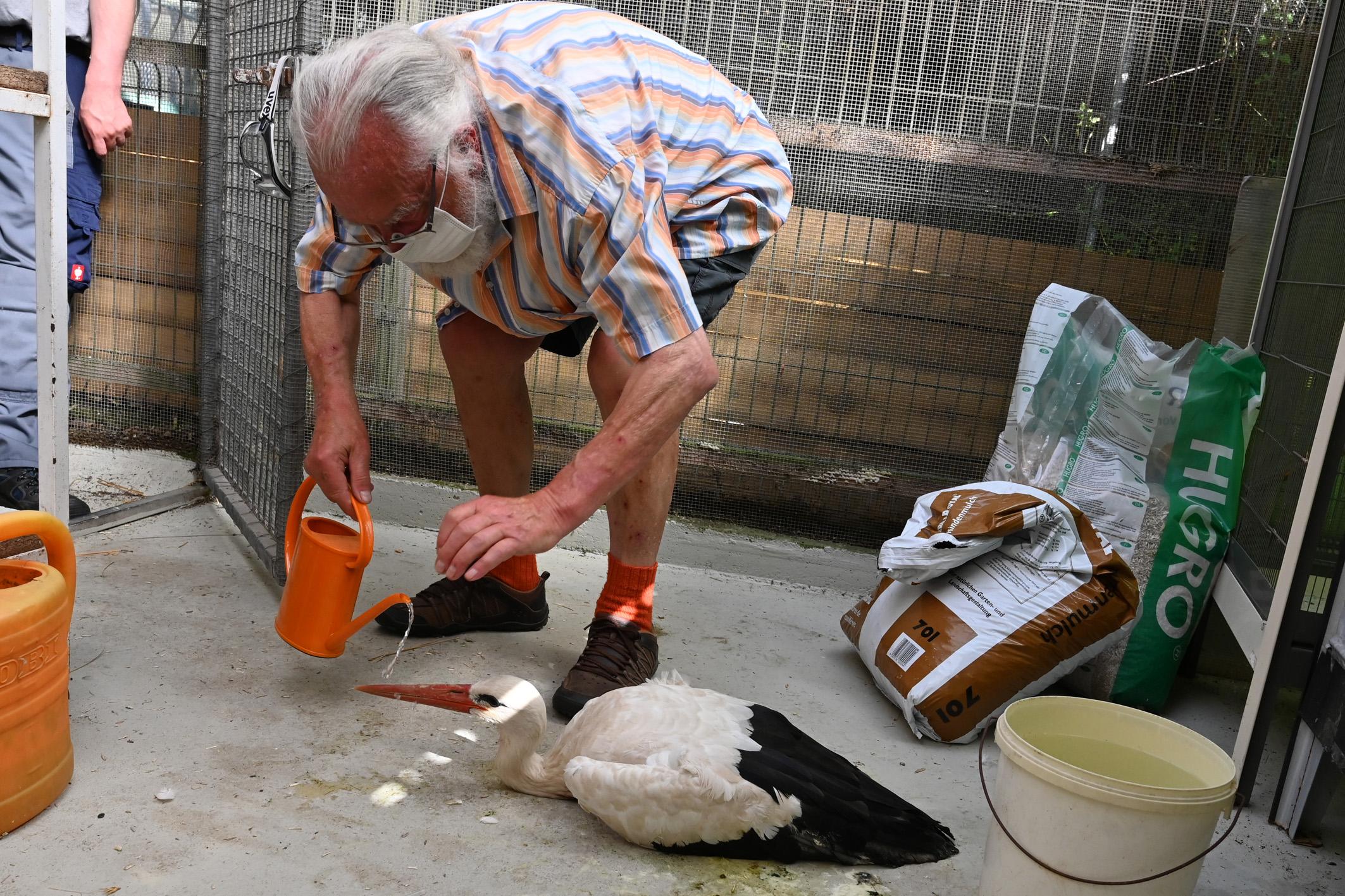 4C-ERL-445Storchenfund