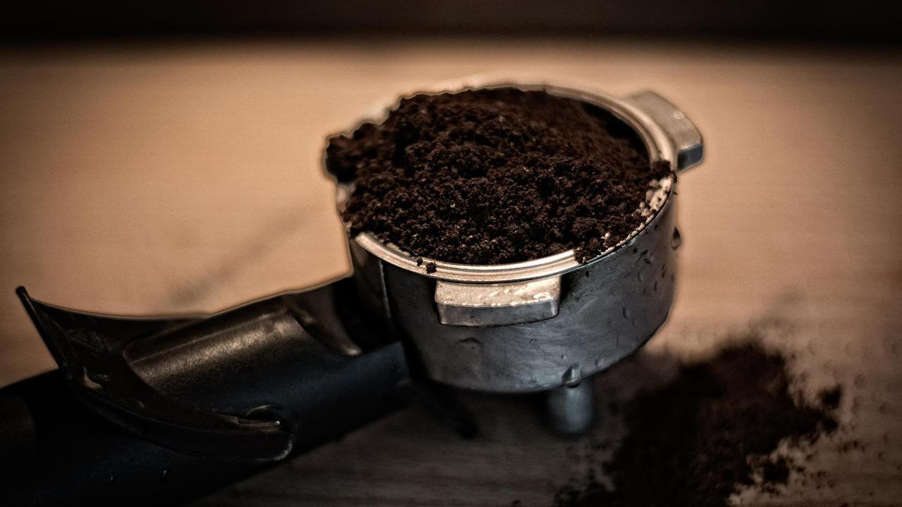 Kaffeesatz als Dünger? So funktioniert es Kaffeesatz als Dünger? So funktioniert es