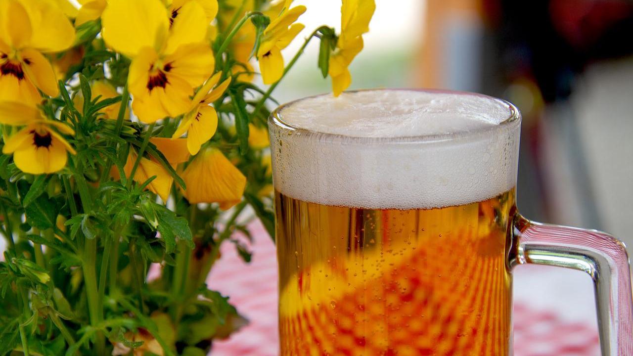 Viele Menschen trinken gerne mal ein Bier. Doch wie viele Kalorien stecken in einem Glas Bier? Viele Menschen trinken gerne mal ein Bier. Doch wie viele Kalorien stecken in einem Glas Bier?