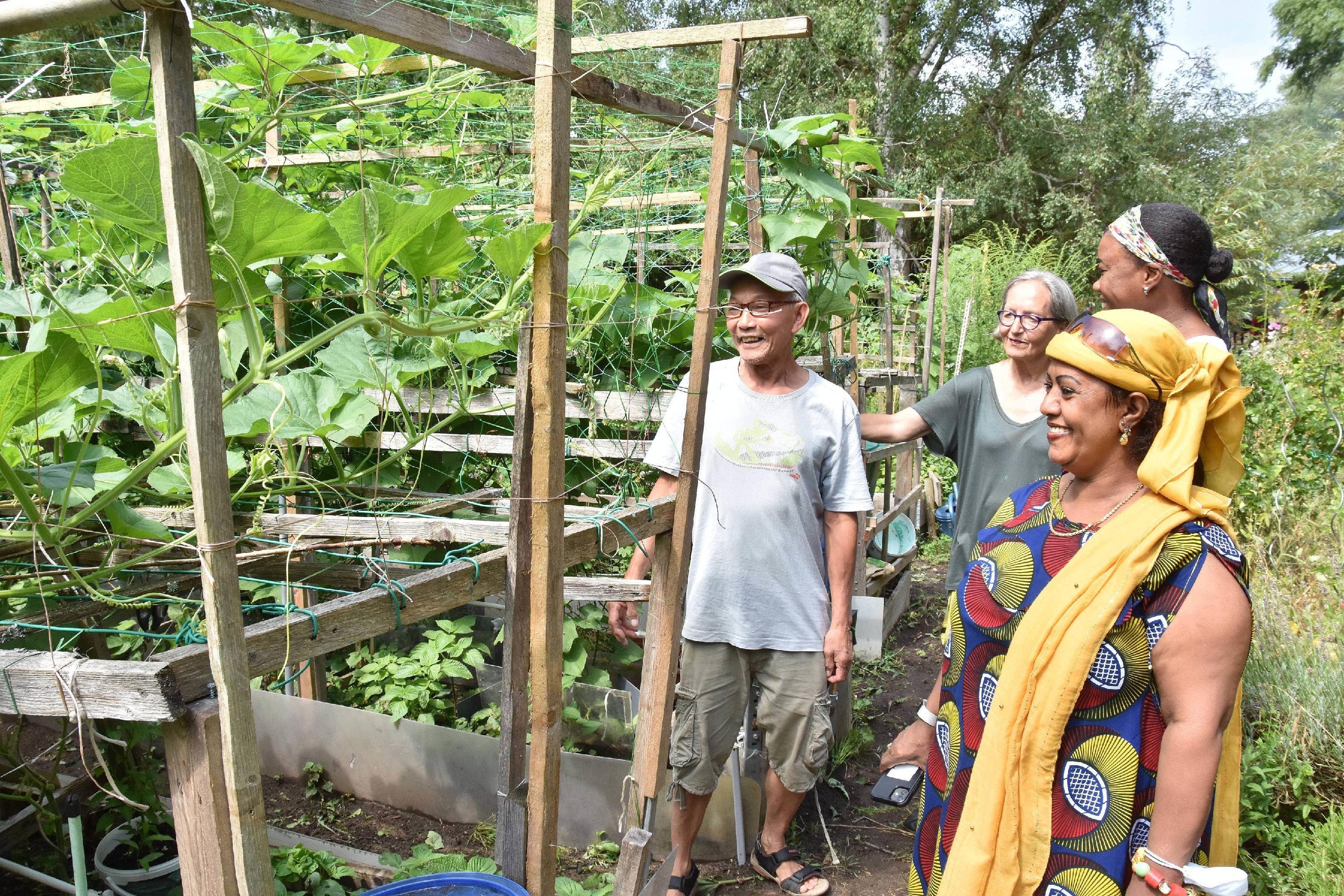 Überaus bunt 15 Jahre Interkultureller Garten Fürth