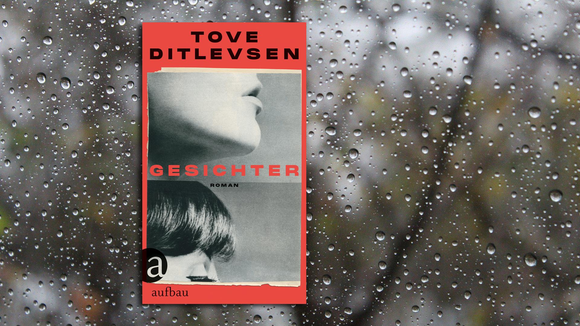 Eine feine Entdeckung, diese Frau! Die Dänin Tove Ditlevsen (1917-1976) war bereits letztes Jahr mit drei autobiografischen Kurzromanen auf Deutsch herausgekommen; nun gibt es, nicht weniger eigenem Leid abgetrotzt, den neuen Band "Gesichter" über eine Kinderbuchautorin in der Krise. Diese betrifft ihr Schreiben (kein Wort mehr seit 2 Jahren) sowie ihren Ehemann Gert (offen untreu), und dann hat sie auch noch Wahnvorstellungen, in denen sich Personen überlagern. Um in die Psychiatrie zu gelangen, wo sie sich Rettung erhofft, schluckt sie Schlaftabletten...  Bedrückend, aber auch messerscharf beobachtet und nicht ohne ironischen Humor. (Aufbau, 20 Euro) Wolf Ebersberger