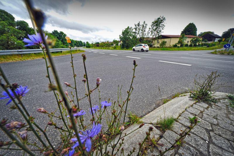 Widerstand Gegen Die Geplante Umgehung Berg Geht Weiter