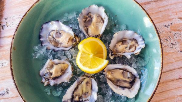 Als “Stout” bezeichnet man ein schwarzbraunes, hopfenbitteres Bier mit einer ausgeprägten, cremefarbenen Schaumkrone. Es wird aus besonders stark geröstetem Gerstenmalz mit obergäriger Hefe gebraut und ist vor allem in englischsprachigen Ländern beliebt: Stout-Marken gibt es in Irland, in den USA, im Vereinigten Königreich, in Kanada, Australien und Neuseeland. Oft werden geschmacksverändernde Zusatzstoffe verwendet - zum Beispiel Austern (Oyster Stout).