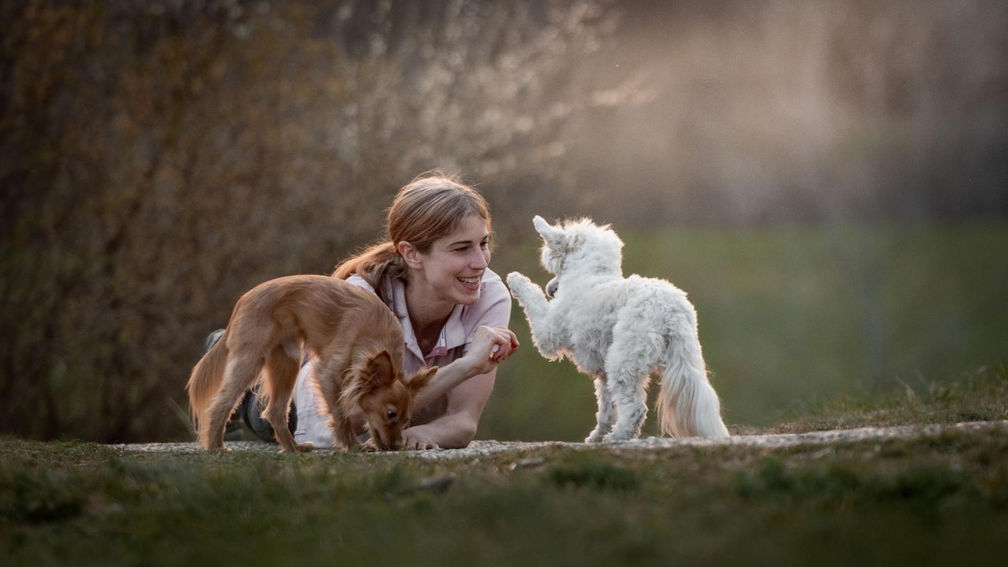 Stefanie Riemer hat mehrere Jahre eine Forschungsgruppe zu Hundeverhalten an der Universität Bern geleitet. Stefanie Riemer hat mehrere Jahre eine Forschungsgruppe zu Hundeverhalten an der Universität Bern geleitet.