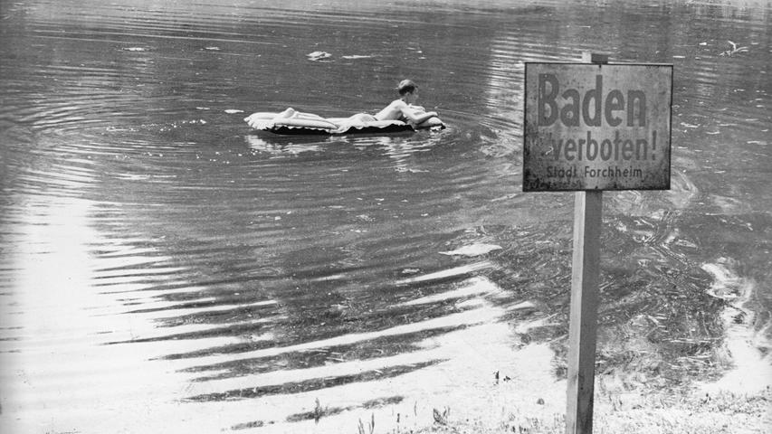 Dass in dem Fluss eigentlich das Baden verboten ist, schien den Jungen damals nicht zu stören. Das Bild wurde im Jahr 1964 in unserer Zeitung veröffentlicht, zusammen mit einem Artikel, in dem es darum ging, dass die Stadt Forchheim ein generelles Badeverbot für die Flüsse im Stadtbereich ausgesprochen hatte. 