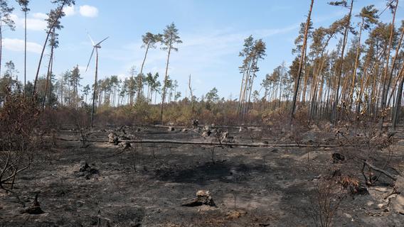 Waldbrandgefahr in Franken: Was Sie machen können - und was lieber nicht