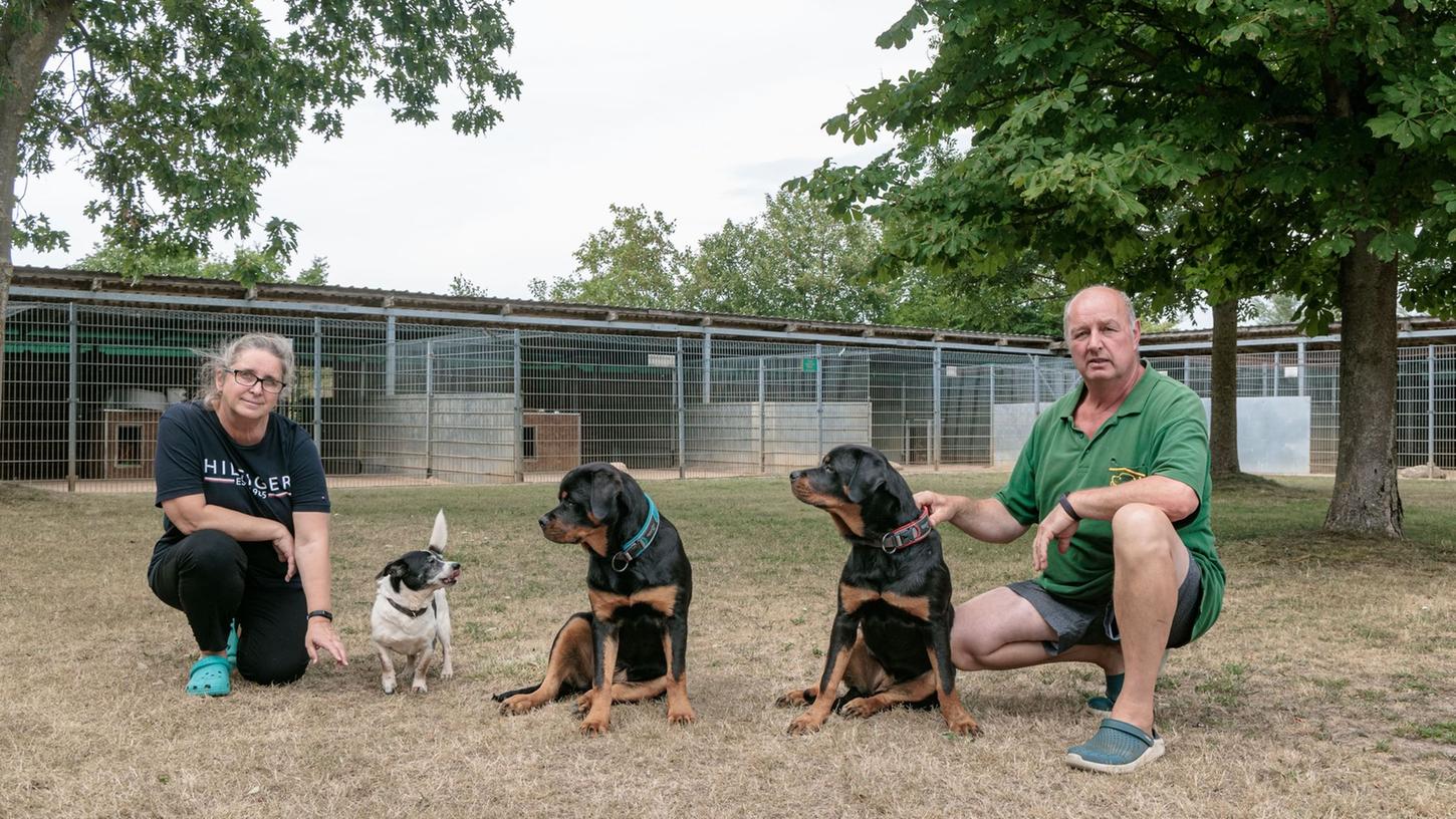 Die Tierheime sind voll und die Anfragen häufen sich. Ilka Dittberner, Tierheimleiterin, und Daniel Heese, Tierpfleger im Tierheim Schwerin, hocken neben Hunden. Die Tierheime sind voll und die Anfragen häufen sich. Ilka Dittberner, Tierheimleiterin, und Daniel Heese, Tierpfleger im Tierheim Schwerin, hocken neben Hunden.