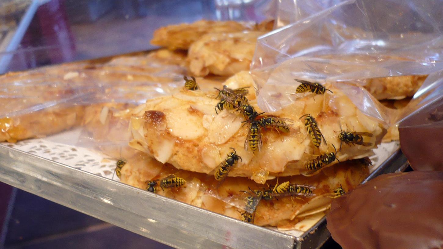Insekten umschwärmen ein Gebäck in einem Laden in Stuttgart: Auch in Nürnberg stoßen Lebensmittelkontrolleure immer wieder auf solche Zustände. Pro Jahr müssen 50 bis 60 Betriebe in der Stadt wegen Beanstandungen schließen, bis der Mangel behoben ist.
Insekten umschwärmen ein Gebäck in einem Laden in Stuttgart: Auch in Nürnberg stoßen Lebensmittelkontrolleure immer wieder auf solche Zustände. Pro Jahr müssen 50 bis 60 Betriebe in der Stadt wegen Beanstandungen schließen, bis der Mangel behoben ist.