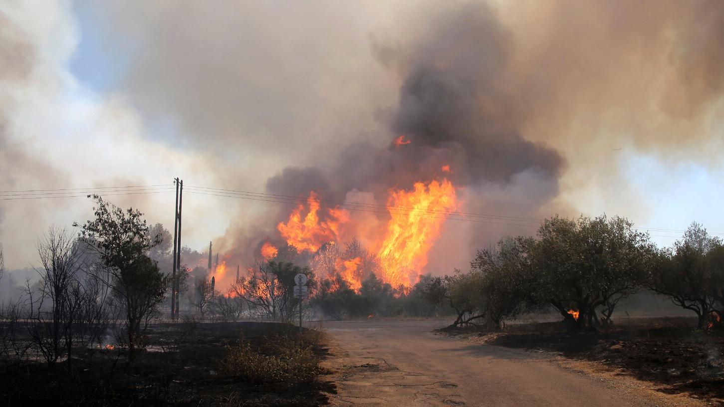 Am 31. Juli kam es in der südfranzösischen Region Gard zu einem Waldbrand.
Am 31. Juli kam es in der südfranzösischen Region Gard zu einem Waldbrand.