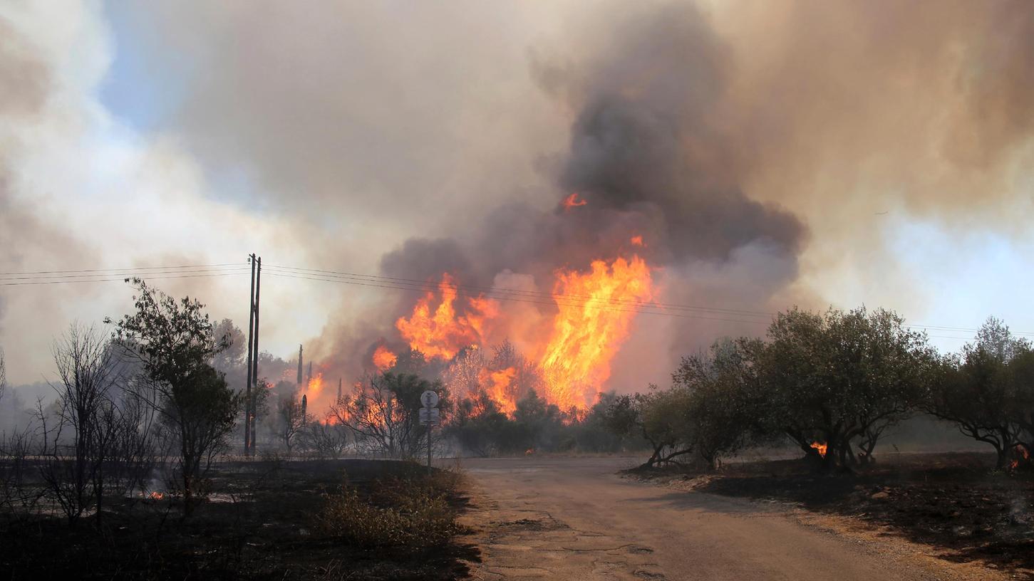 Am 31. Juli kam es in der südfranzösischen Region Gard zu einem Waldbrand.