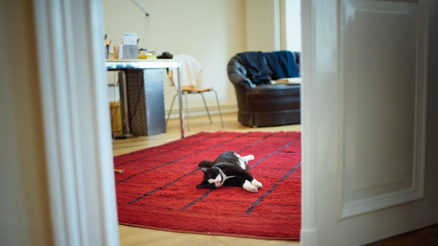 Zwar gilt der Hund seit jeher als "des Menschen bester Freund". Doch Deutschlands liebstes Heimtier ist und bleibt - die Katze. Zwar gilt der Hund seit jeher als "des Menschen bester Freund". Doch Deutschlands liebstes Heimtier ist und bleibt - die Katze.