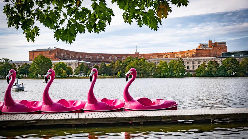 Etwas entspannter kann man seinen freien Tag auch ganz in der Nähe am Dutzendteich in Nürnberg verbringen. Nachdem man sich entschieden hat, ob man eine Ente, einen Schwan, einen Flamingo oder ein ganz normales Tretboot haben möchte, lässt es sich gemütlich über das Wasser schippern. Auch Ruderboote stehen zur Verfügung. Für ein anschließendes Päuschen kann man entweder eine Decke am Ufer ausbreiten und picknicken oder noch einen Abstecher in den Biergarten Gutmann direkt nebenan machen, um dort kein Kaltgetränk zu sich zu nehmen. 