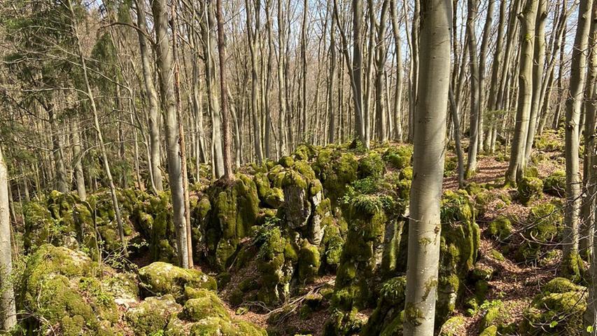 Die Fränkische Schweiz hat viele Wanderwege zu bieten, aber keiner ist wie der am Eibgrat. Der Eibgrat ist eine langgezogene Felsenkette in der Nähe von Spieß und Betzenstein, die sich durch den Wald zieht und über die auch der Wanderweg verläuft. Für Menschen, die sich nicht ganz entscheiden können, ob sie klettern oder wandern wollen, ist diese Route perfekt, bietet aber natürlich auch für alle anderen Abenteuerlustigen ein besonderes Erlebnis. Mal läuft man über die Felsen, mal muss man sich zwischen ihnen hindurch zwängen, mal an ihnen entlang kraxeln. Dabei sind die Kletterstücke nicht so schwer, dass Kinder sie nicht schaffen würden, Eltern sollten sich aber trotzdem bewusst sein, dass der Ausflug für viele Kinder sicherlich ein Highlight wird, für die Eltern aber Stress und besonders gutes Aufpassen bedeuten könnte.