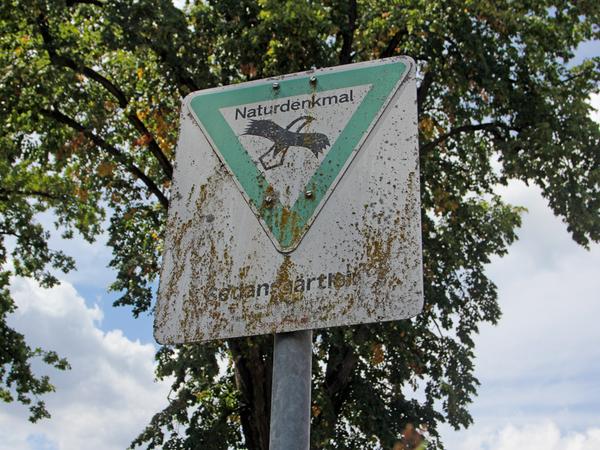 Das Schild ist seit 37 Jahren nicht mehr aktuell. 1995 hat das Landratsamt dem Sedansgärtlein seinen Status als Naturdenkmal genommen. Damals hat man schlicht vergessen, das Schild abzubauen.