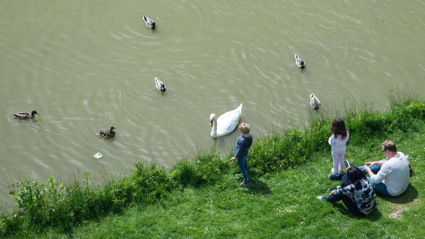 Kinder lieben es, Enten und Schwäne zu füttern. Brot sollten sie dafür aber zu Hause lassen. Kinder lieben es, Enten und Schwäne zu füttern. Brot sollten sie dafür aber zu Hause lassen.