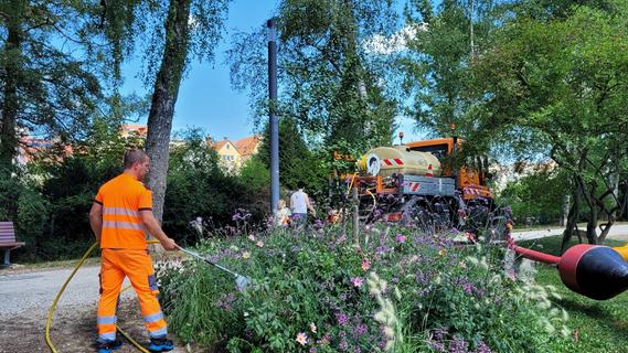 Bauhof kommt mit Bewässern von Bäumen nicht hinterher: Bürger sollen helfen