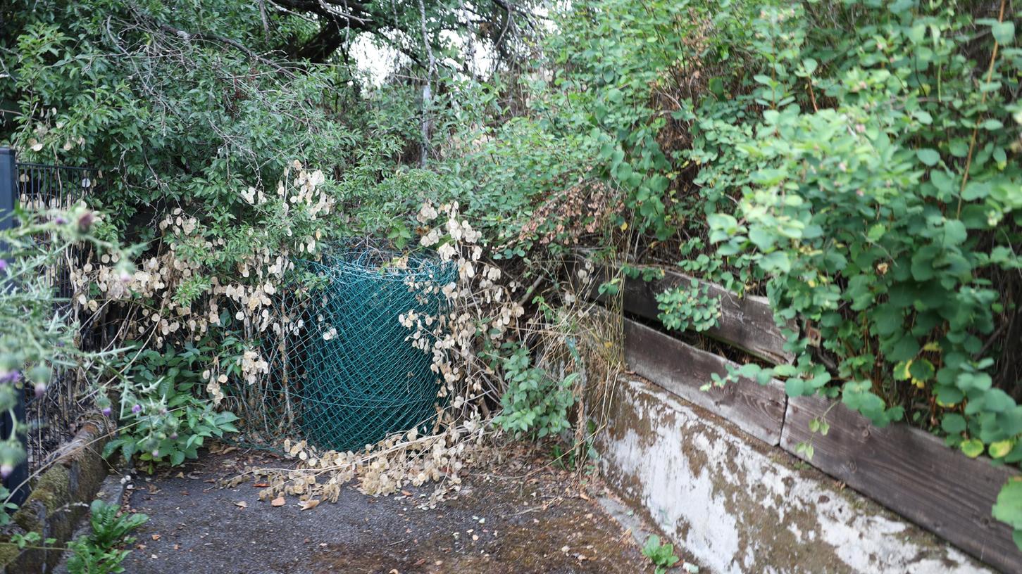 Hier ist dicht: Eine Anhäufung von Gestrüpp und Ästen, in Verbindung mit Maschendrahtzaun, macht den Weg in Ailsbach zur Sackgasse.
Hier ist dicht: Eine Anhäufung von Gestrüpp und Ästen, in Verbindung mit Maschendrahtzaun, macht den Weg in Ailsbach zur Sackgasse.