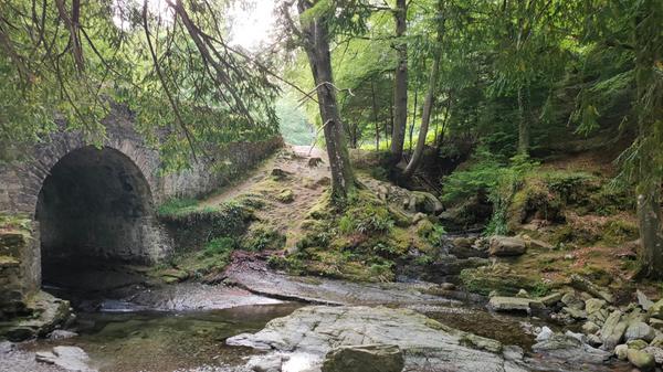 Auch im als Nationalpark geschützten Tollymore Forest wurden Szenen für "Game of Thrones" gedreht. Man kann Führungen mit dem E-Bike buchen ("Mourne Bikes", Newcastle).