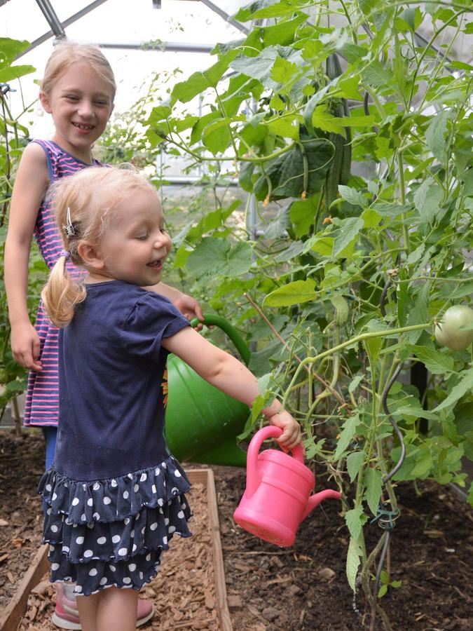 Was im Gewächshaus bei Tomaten und Gurken richtig ist – und Leonie und Emely hier zeigen –, gilt für alle Pflanzen: Effizientes Gießen erfordert bis zu zwei Gießkannen pro Quadratmeter; an die Wurzeln – und nicht über die Pflanzen gesprüht.