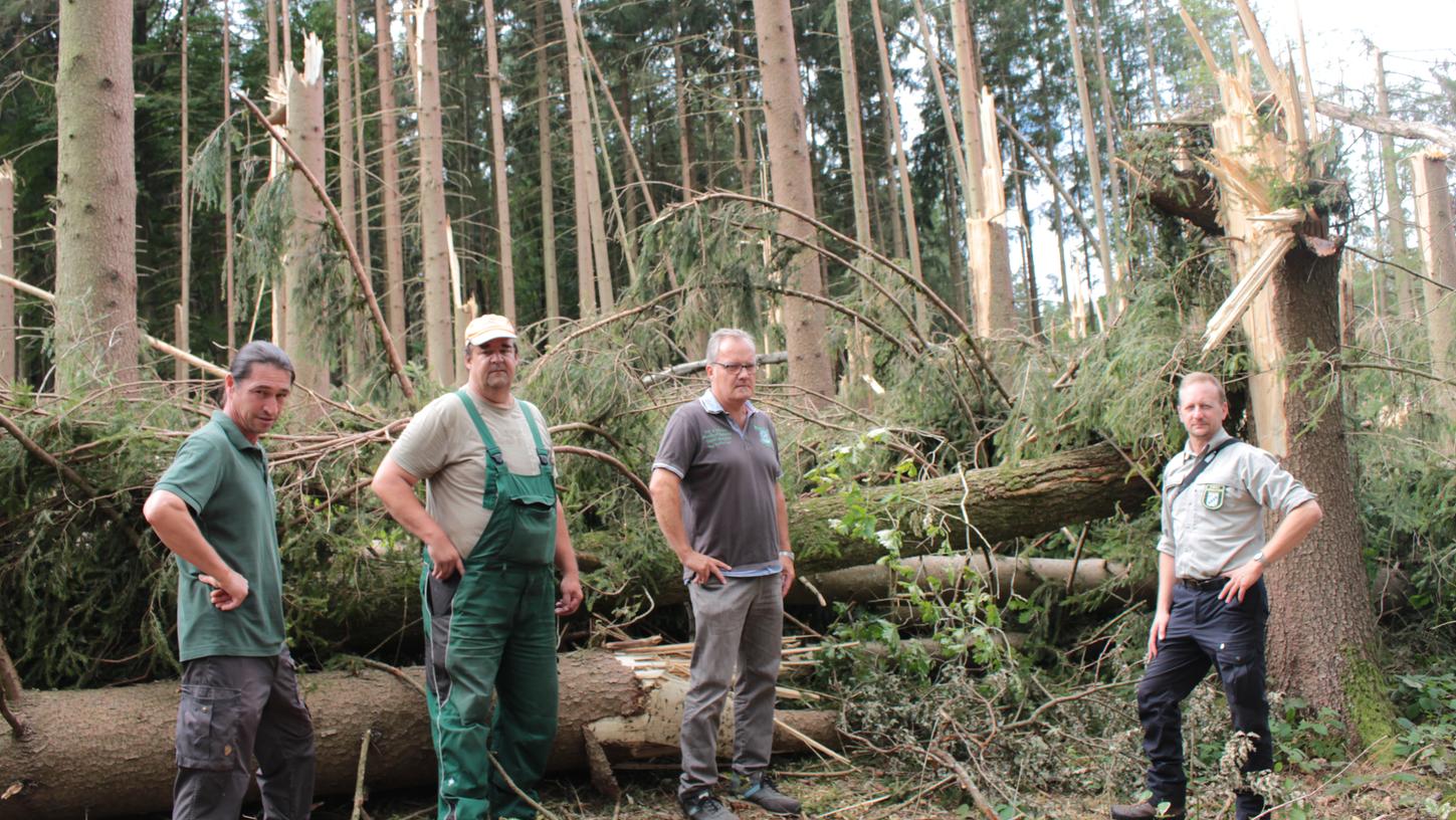 Von links: Geschäftsführer Matthias Kraft (WBV), Waldbesitzer Frank Riedel, Martin Thoma (Berufsgenossenschaft) und Forstamtsrat Michael Bug vor einem von Windwurf geschädigten Wald.