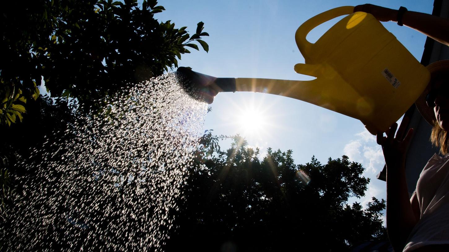 Wer im Garten einige Anfängerfehler vermeidet, spart Geld, Zeit und Wasser.