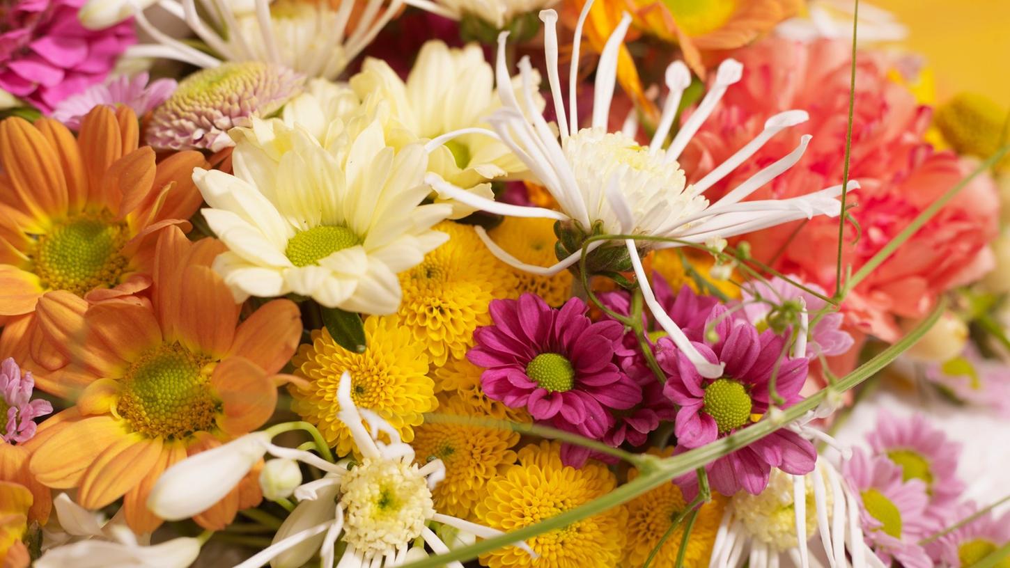 Wer selbst Blumen aus seinem Garten erntet, sollte schon aufgeblühte und ausgereift wirkende Blüten mit Stiel abschneiden. Wer selbst Blumen aus seinem Garten erntet, sollte schon aufgeblühte und ausgereift wirkende Blüten mit Stiel abschneiden.