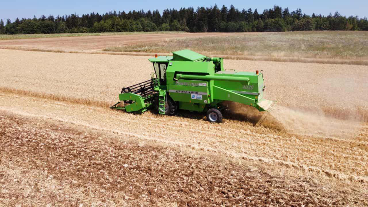 Wenig Getreide für die Mähdrescher, das auch noch schlecht für menschliche Ernährung geeignet ist – das ist nur ein Teilresümee einer "miserablen Ernte".
Wenig Getreide für die Mähdrescher, das auch noch schlecht für menschliche Ernährung geeignet ist – das ist nur ein Teilresümee einer "miserablen Ernte".