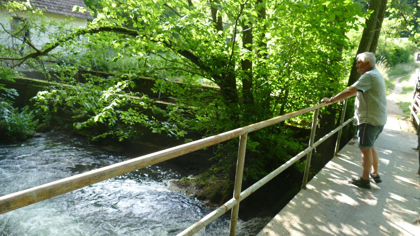 Hier waren die Dooser Wasserfälle, die nach der Steinabnahme verschwanden. Die Wiesent hat hier trotzdem noch Kraft. Adolf Hofmann kennt als Touristiker viele schöne Winkel rund um Waischenfeld.