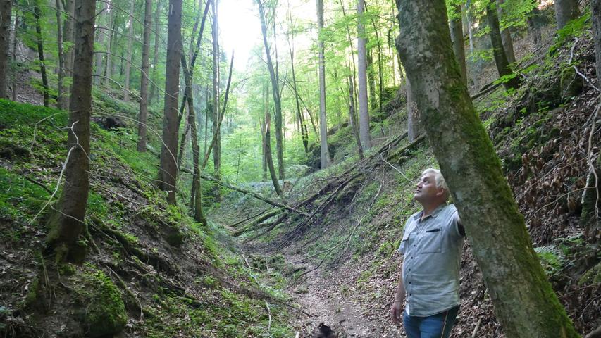 Einer der Lieblingsplätze von Adolf Hofmann ist der alte Graben nach Gösseldorf. Hier ist nichts, nur Vogelgezwitscher.