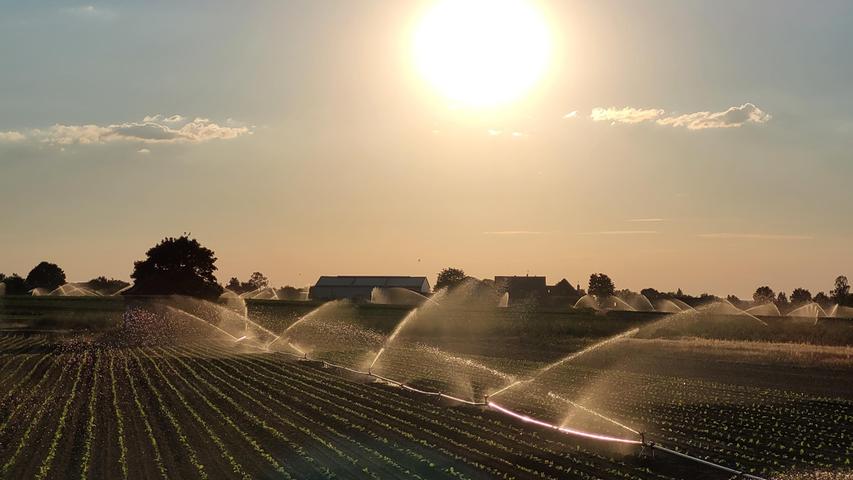 Auch wenn die Sonne noch am Himmel steht, den Feldern bei Kraftshof tut der abendliche Schluck Wasser sicher gut. Mehr Leserfotos und Leserbriefe finden Sie hier.