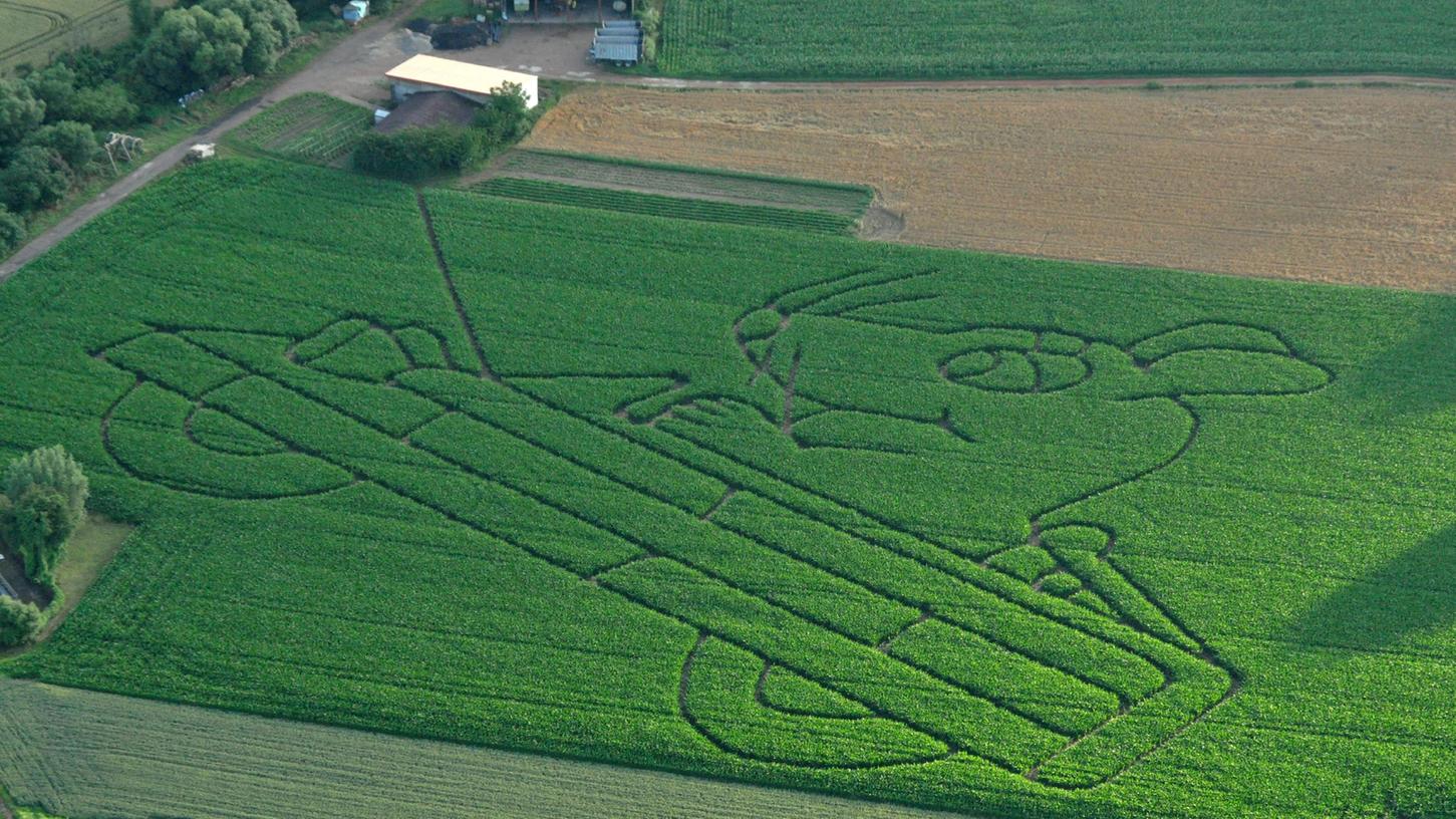 So sah das Maislabyrinth im vergangenen Jahr aus der Vogelperspektive aus.
So sah das Maislabyrinth im vergangenen Jahr aus der Vogelperspektive aus.