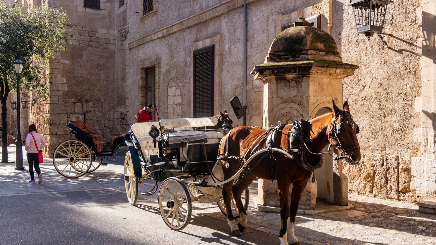 Touren mit Pferdekutschen sind eine beliebte Attraktion in Palma de Mallorca - in Zukunft wird sie aber abgeschafft.